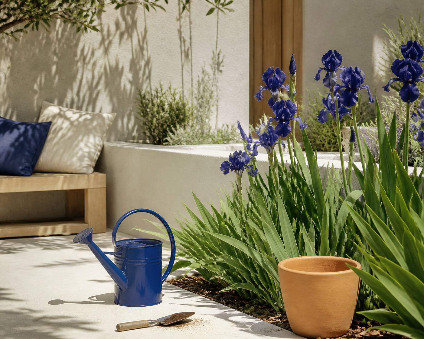 Iris plantés en bordure avec arrosoir et outils de jardin